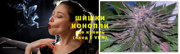 амф Ветлуга