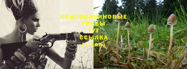 первитин Нефтегорск
