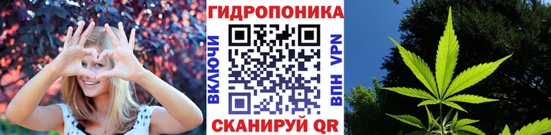 сколько стоит  Игарка  Каннабис MAZAR 